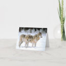 Search for wolves cards Snow