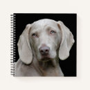 Search for beautiful notebooks Dog