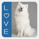 Search for american eskimo dog stickers Eskie