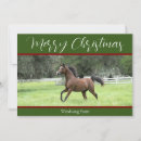 Search for equestrian christmas cards Arabian