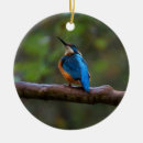 Search for birdwatcher christmas tree decorations Nature