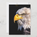 Search for eagles note cards Bird