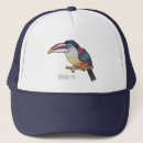 Search for crested hats Bird