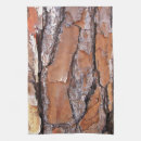 Search for pine bark Forest