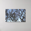 Search for winter branches canvas prints Tree