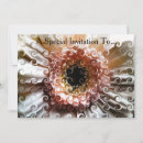 Search for gerberas invitations Nature