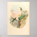 Search for vintage cactus art Green