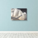 Search for petals canvas prints Roses