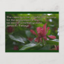 Search for grateful postcards Gratitude