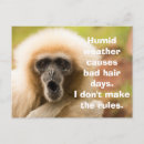 Search for funny monkey postcards Primate