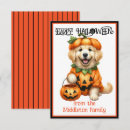 Search for golden retriever halloween cards Puppy