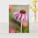 Search for thinking photography Floral
