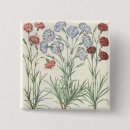 Search for carnations badges Flowers
