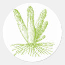 Search for asparagus stickers Green