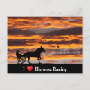 Search for harness postcards Equine