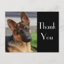 Search for german shepherd thank you cards Thanks