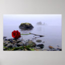 Search for rose reflection posters Red