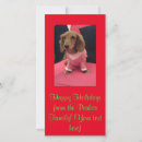 Search for selfie christmas cards Red