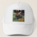 Search for pumpkin cat hats Bat