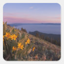 Search for california state park stickers Scenic