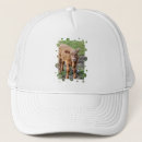 Search for calf hats Cattle