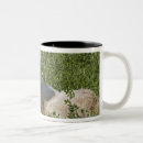 Search for pasture mugs Field