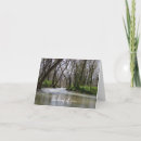Search for spring time cards Photography