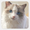 Search for art Cat