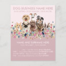 Search for cute flyers Pet care