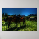 Search for charger art Horse