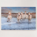 Search for sea horse puzzles Ocean