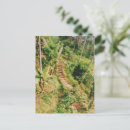 Search for rainforest postcards Asia
