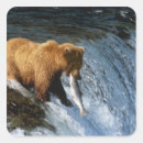 Search for salmon stickers Bear