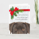 Search for chocolate lab christmas cards Retriever
