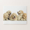 Search for golden retriever puppy puzzles Babies