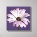 Search for white daisy canvas prints Plant