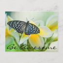 Search for jayne postcards Flower