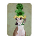 Search for greyhound magnets Antique