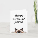 Search for ragdoll cat birthday cards Kitten