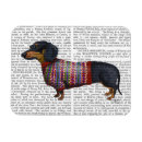 Search for sweater magnets Animals