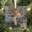 Search for wildcat christmas tree decorations Animal
