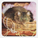 Search for cat house stickers Feline