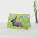 Search for sweet bunny cards Elegant