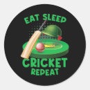 Search for cricket game stickers Boundary
