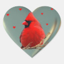 Search for red cardinal stickers Birds
