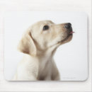 Search for dog with stick mouse mats Animal