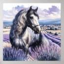 Search for lavender posters Lavendar