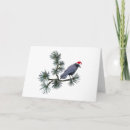 Search for raven christmas cards Wildlife