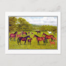 Search for foal cards Vintage