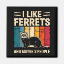 Search for ferret magnets Pet